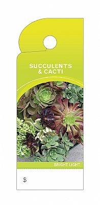 Trim Tag Succulents & Cacti @100