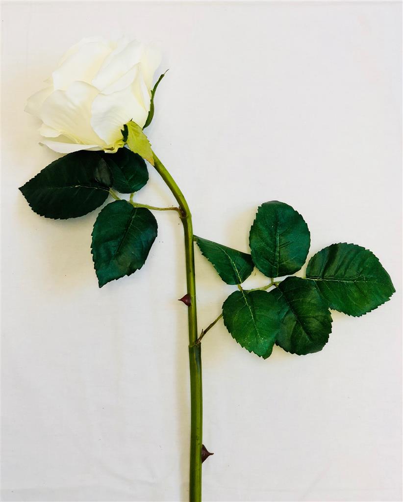 Rose 22" White