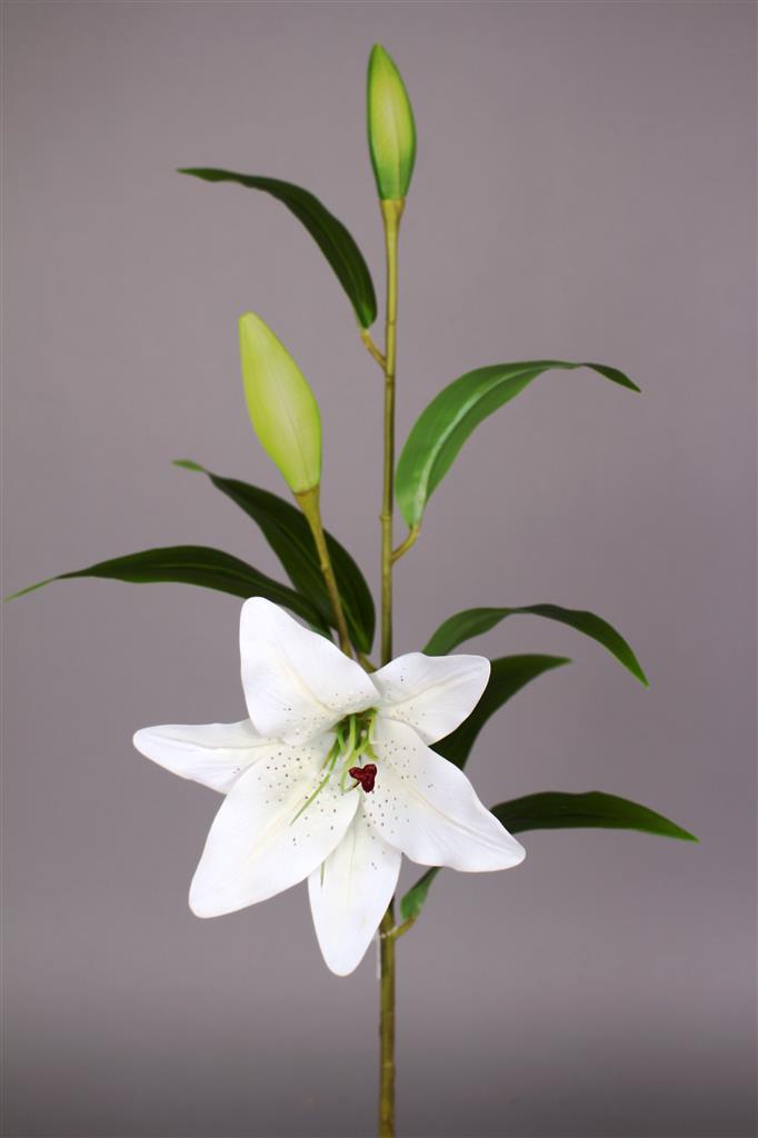 Garden Lily Stem 28" Wh