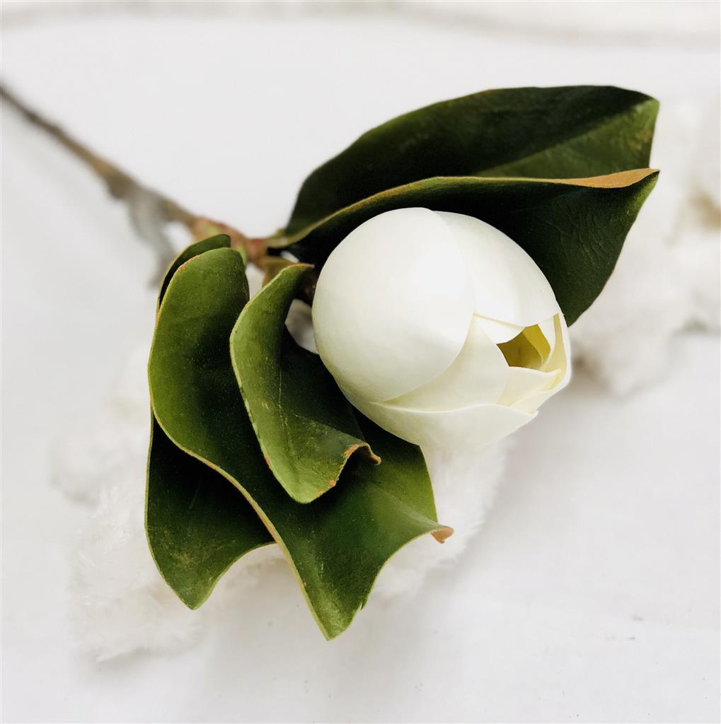 Magnolia Sm 24" 2-Tone White