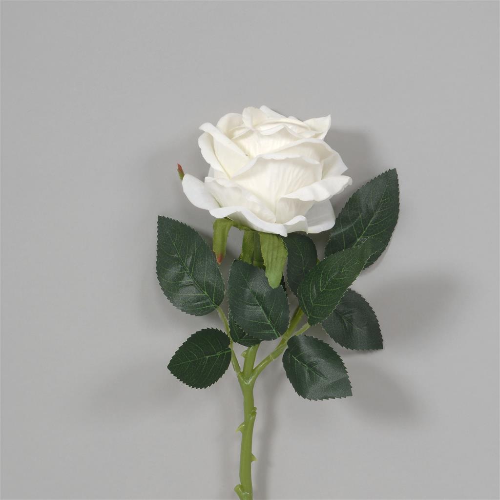 Velvet Rose Pick 11.5" Cream