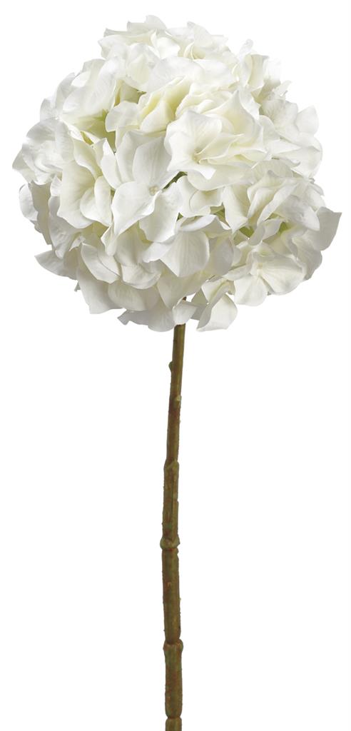 Hydrangea Stem 21" White
