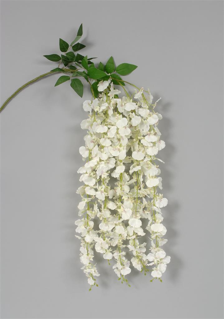 Dancing Orchid 55" White