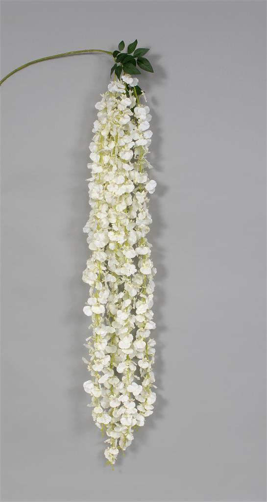 Dancing Orchid 74" White