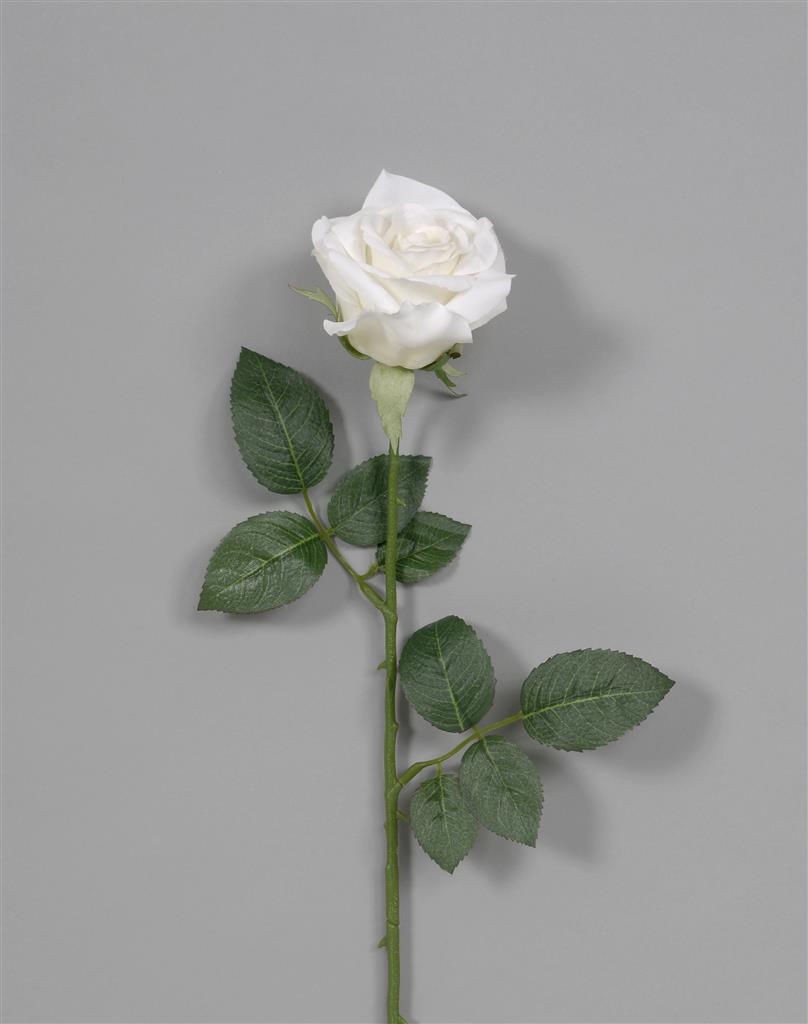 Sylvia Rose 25.5" White