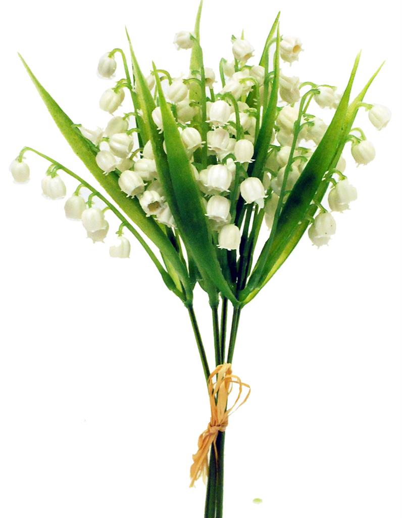 Lily of the Valley x5 White