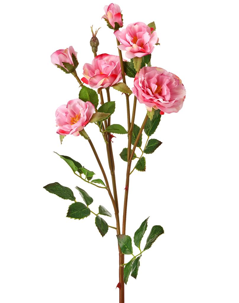 Rambling Rose x6 24" Pink