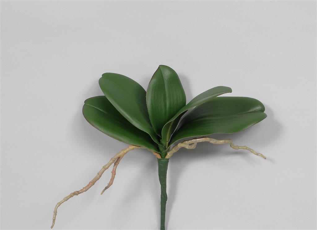 Orchid Leaves 11" Green