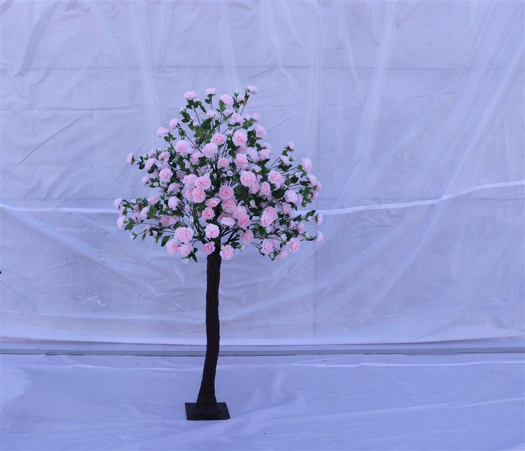 Peony Tree 6.5' Pink