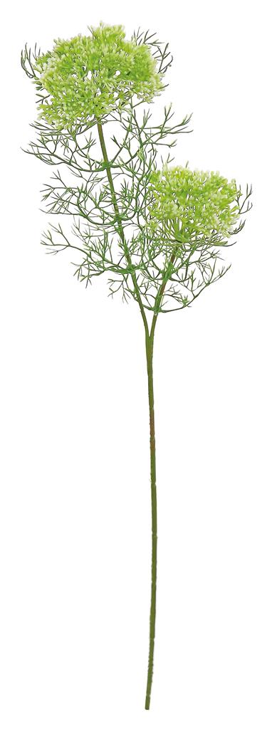 Dill Weed 23" Cream/Green