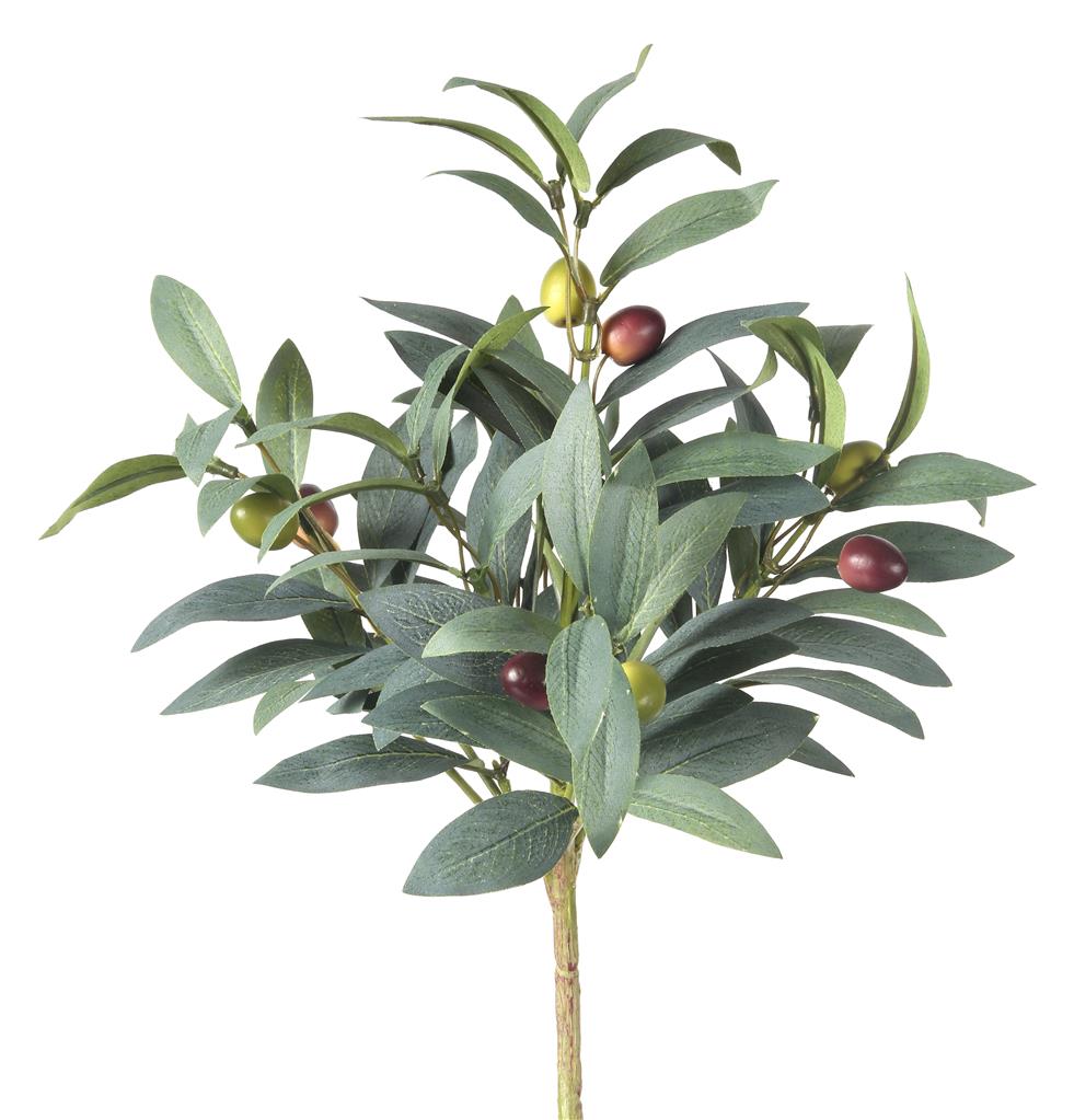 Pruned Olive Bush 15"
