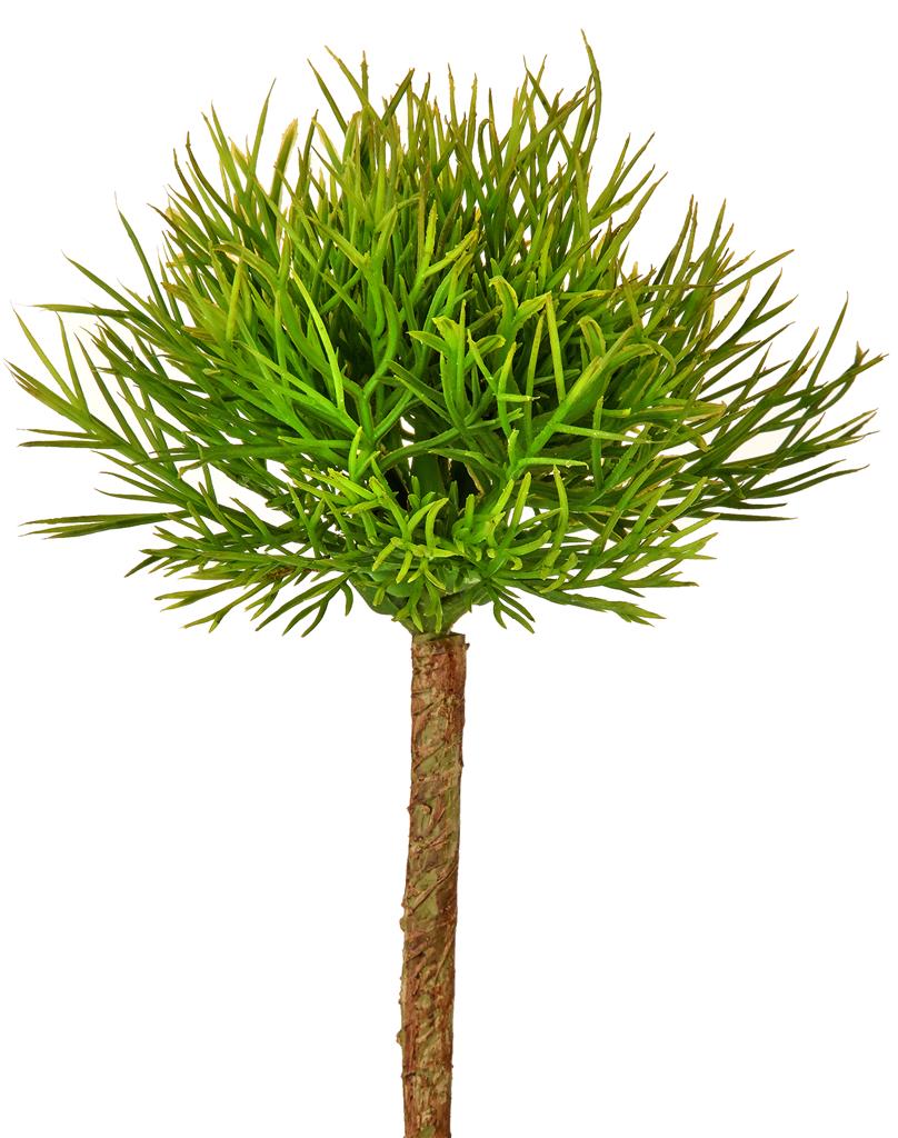 Fern Succulent 7" Green