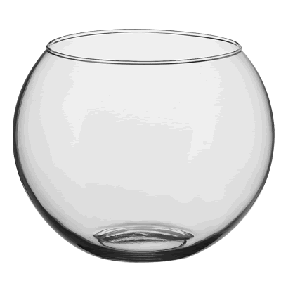 Terrarium Bowl 10" Clear