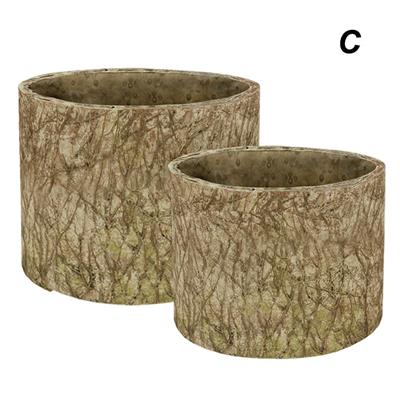 Entwined Planter 8.25" Moss