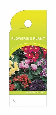 Trim Tag Flowering Plant @100