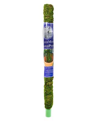 Moss Pole 24" Green