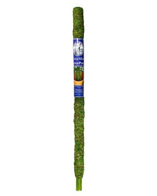 Moss Pole 36" Green
