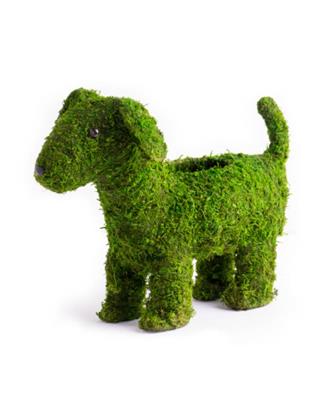 Deco Puppy 13" Green 