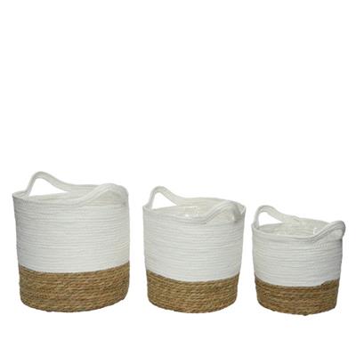 Seagrass Basket 14"x 12" White