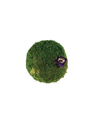 Moss Ball 4" Green
