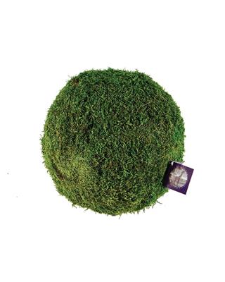 Moss Ball 6" Green