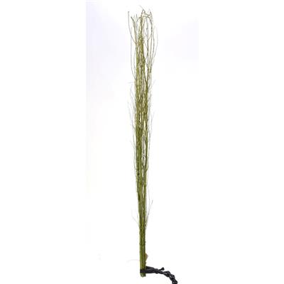 Twig Bundle 42.5" Green