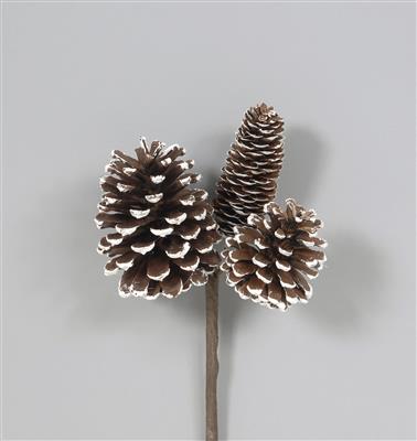 Pinecone Pick 11" x6 Frosted 