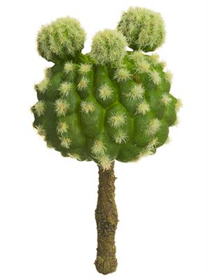 Barrel Cactus Pick 5" Green
