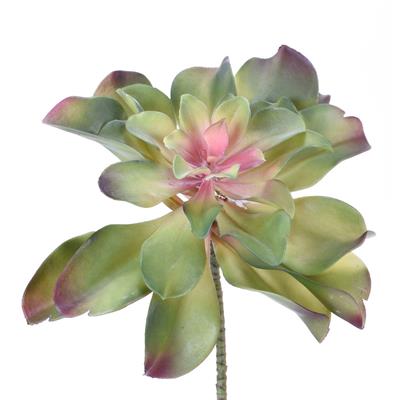 Lotus  Succulent Stem 13.5" Gr/Bu