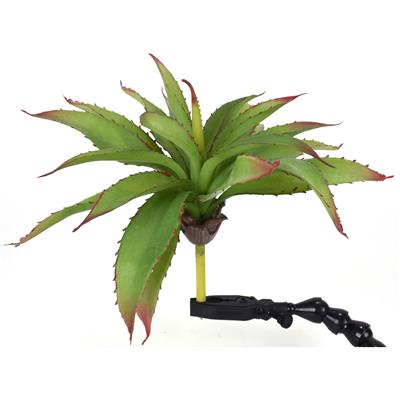 Aloe Plant 9" Green/Burg