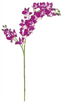 Dendrobrium Orchid x2 35" Purple