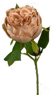 English Garden Rose 17.75" Toffee