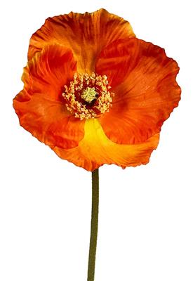Poppy Garden Stem 27" Orange