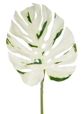 Philodendron Branch 31" White/Green