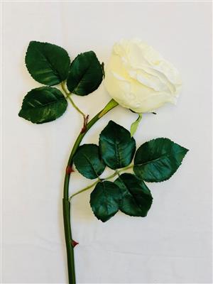 Garden Rose 22" White