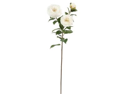Camellia x3 29" White