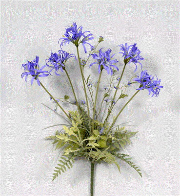 Agapanthus/Daisy/Fern Bush Blu