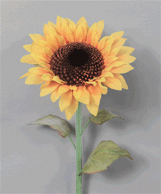 Sunflower Stem 27"  Yellow