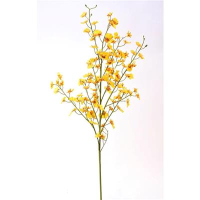 RT Dancing Orchid 38" Yellow