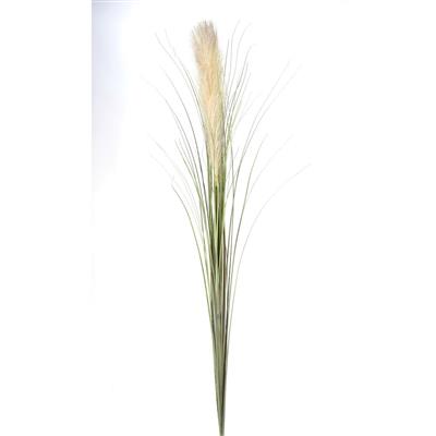 Onion Grass Stem 54" Natural