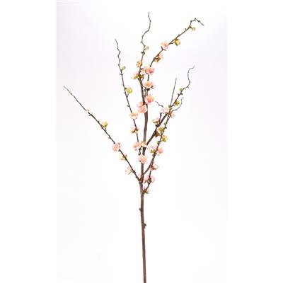 Quince Stem 51" Pink