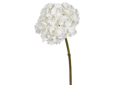 Hydrangea Stem 19" White