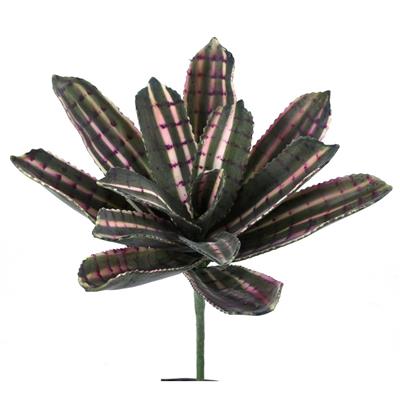 Bromeliad Plant 12" Green/Pink