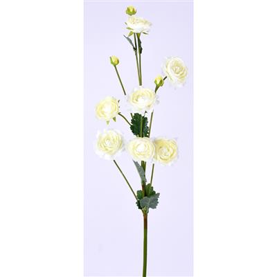 Ranunculus  Stem 32" White