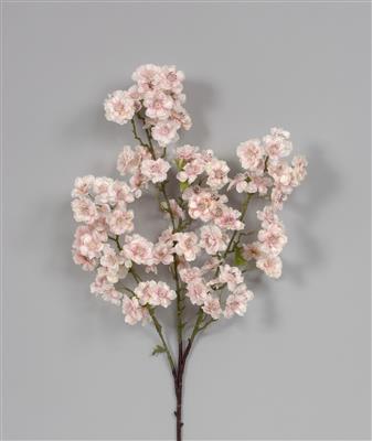 Cherry Blossom Sp. 42" Pink