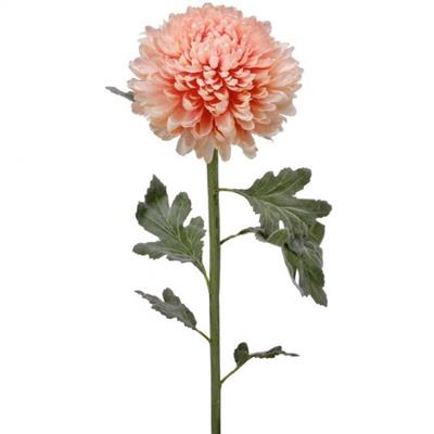 Summer Chrysanthemum 30" Pink