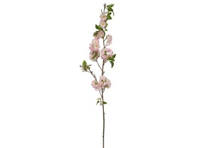Cherry Blossom 50" Pink