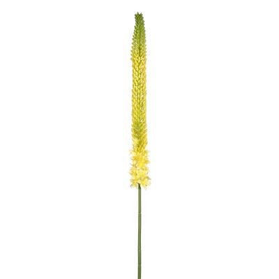 Foxtail Lily Spray 44" Yellow/Green