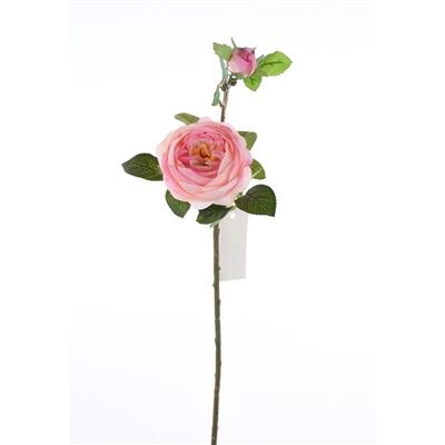 Cabbage Rose w/Bud 24" Pink
