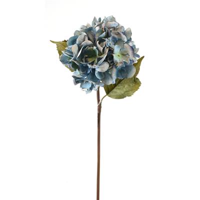 Dried Grand Hydrangea Stem 22" Blue